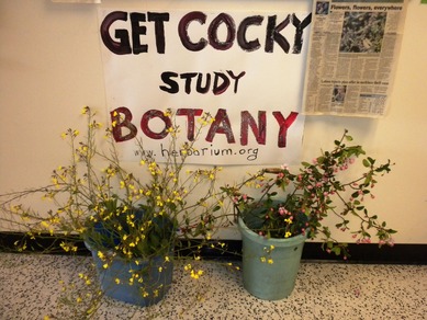 Study Botany